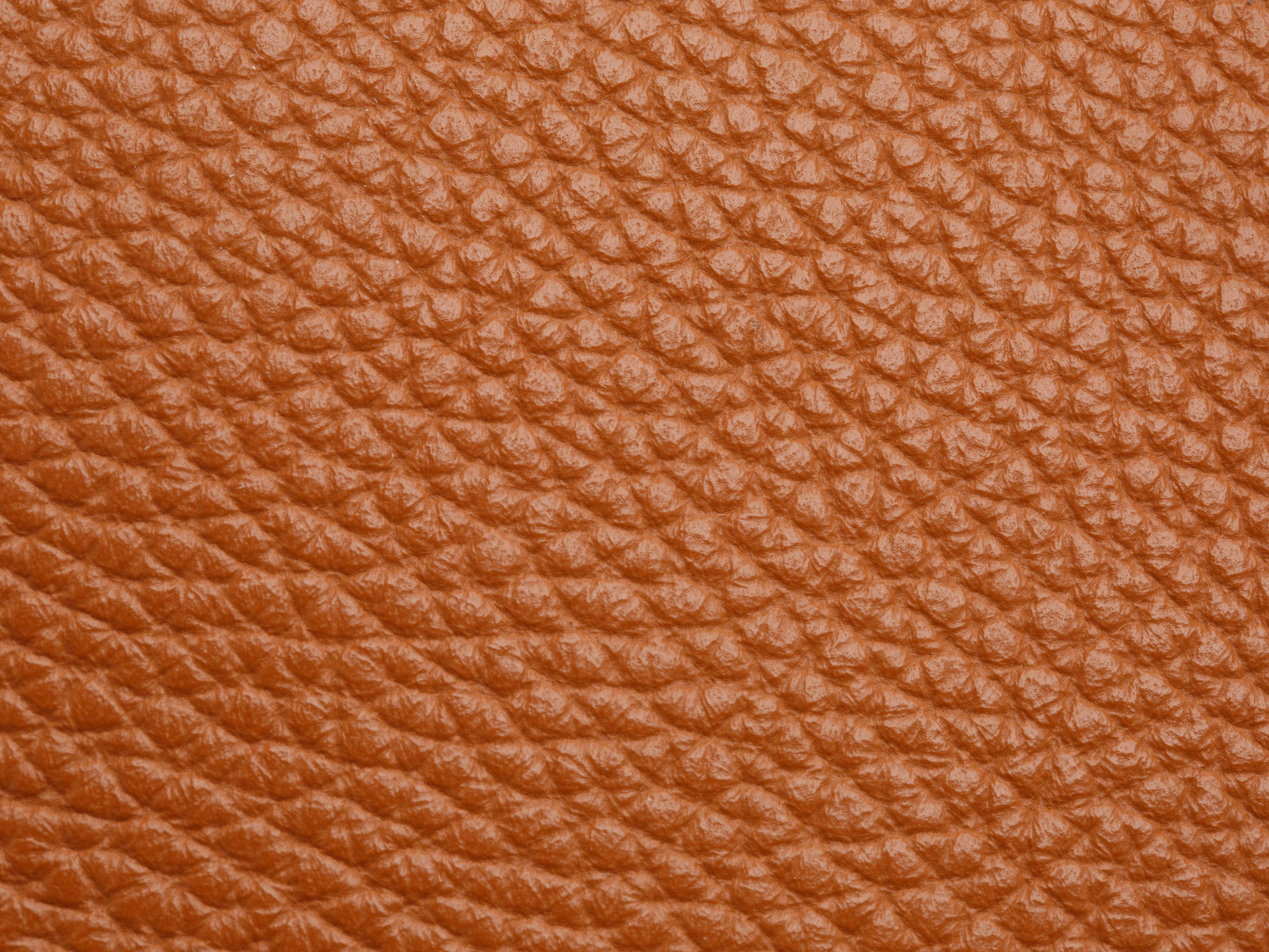 Monfrini 8" Accordion Zip Wallet - Image 44