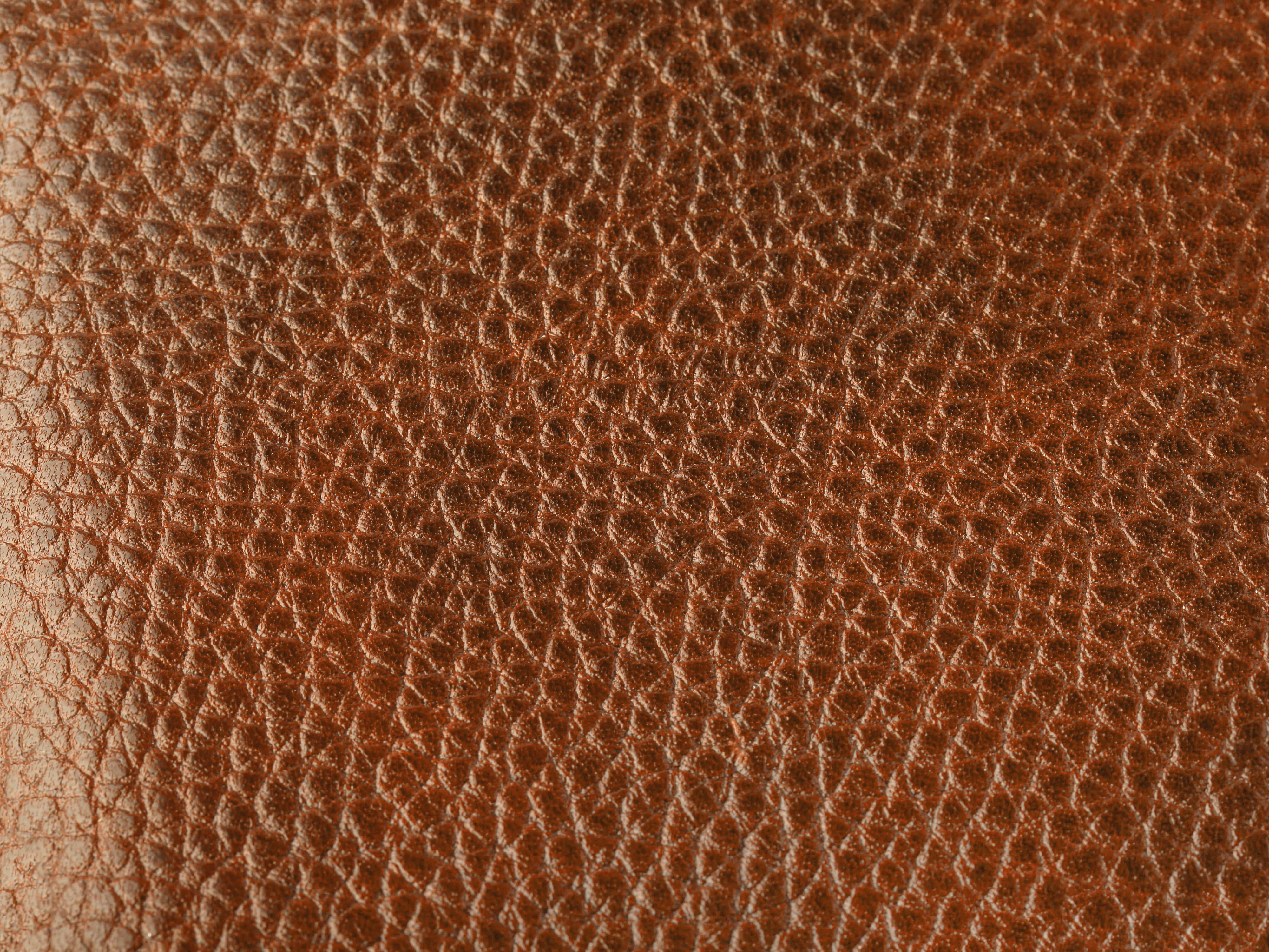 Roma Italia Executive ID Wallet - RFID - Image 19