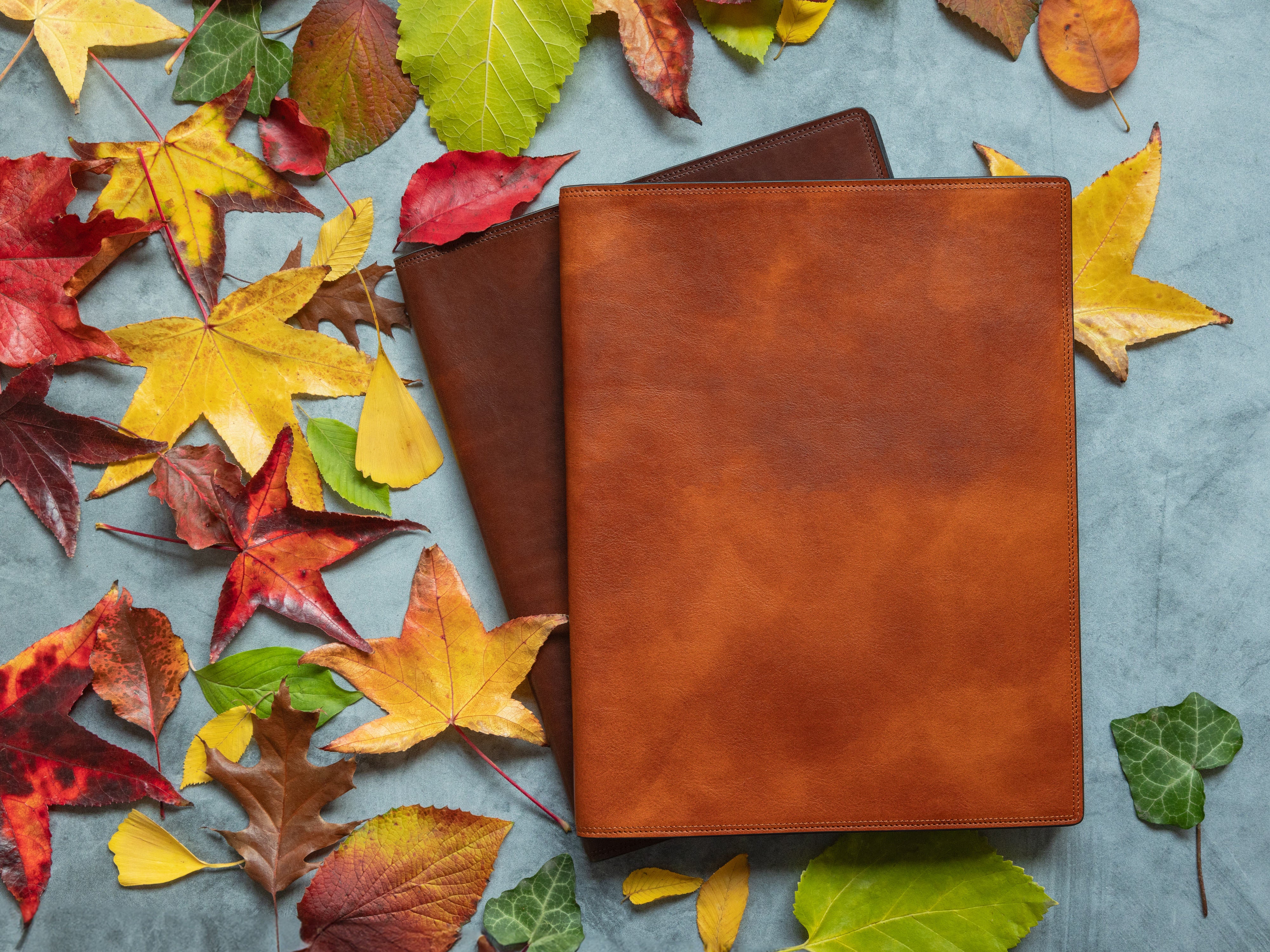 Dolce Soft Cover Portfolio - Image 2